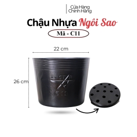 Chậu nhựa ươn mầm cây hoa C11