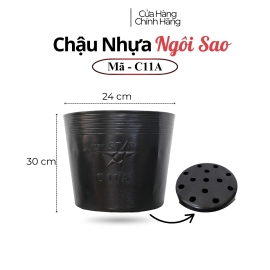 Chậu nhựa ươn mầm cây hoa C11A