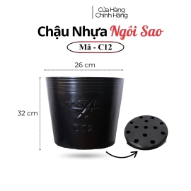 Chậu nhựa ươn mầm cây hoa C12
