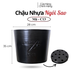 Chậu nhựa ươn mầm cây hoa C13