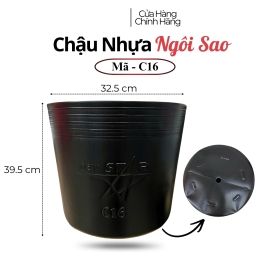 Chậu nhựa ươn mầm cây hoa C16