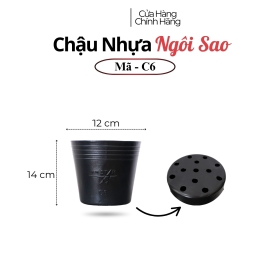 Chậu nhựa ươn mầm cây hoa C6