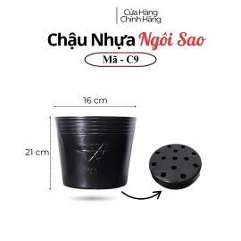 Chậu nhựa ươn mầm cây hoa C9