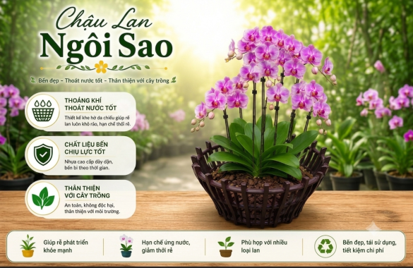 Công Ty TNHH Sản Xuất Thương Mại Sao Mới